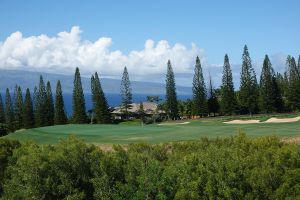 Kapalua (Plantation) 17th Trees 2022